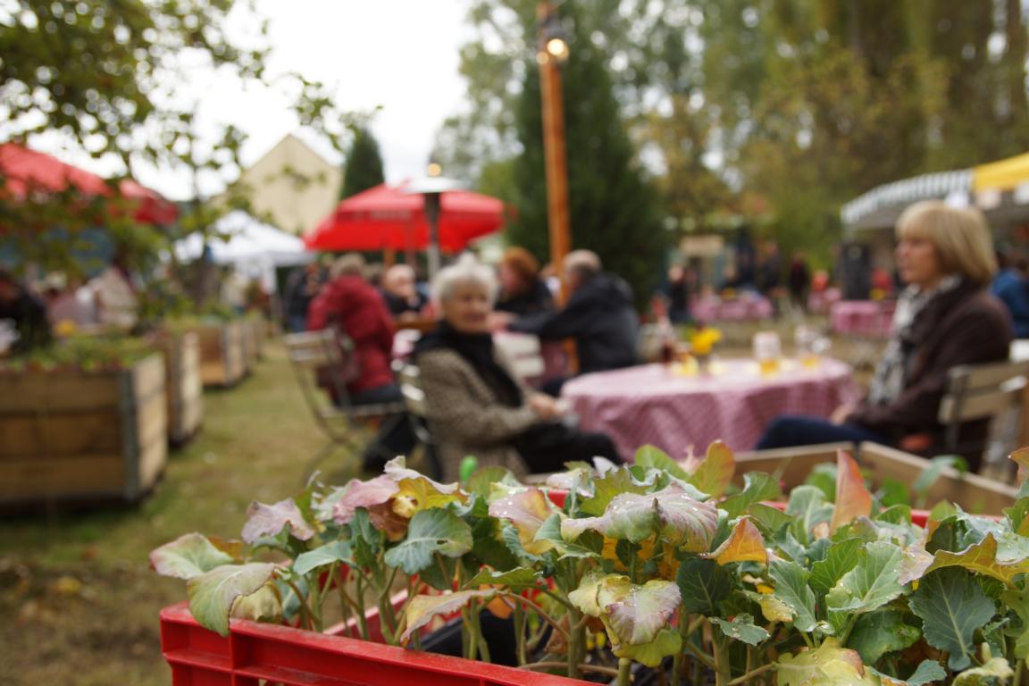 Landpartie zum nachhören