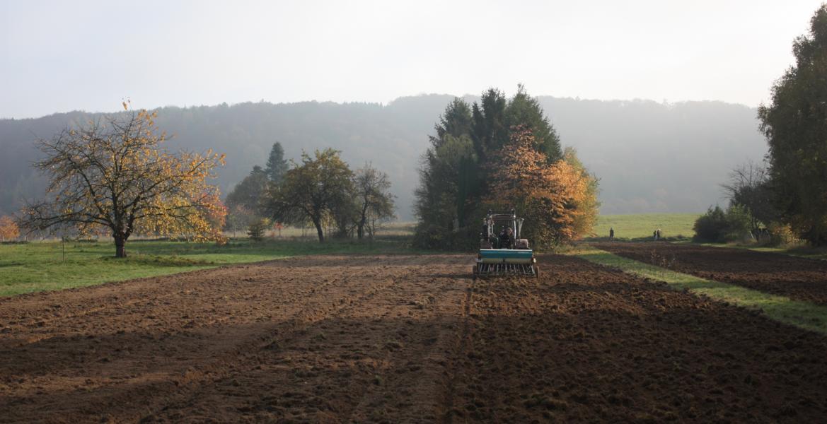 Sonne, Saatgut, Schlüssel …
