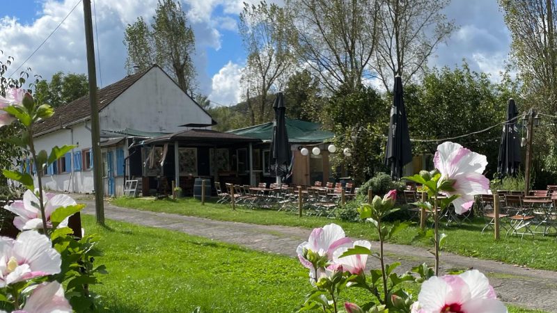 Der Stadtbauernhof Saarbrücken e.V. sucht neue Pächter:innen für die Hofgastronomie ab 2026