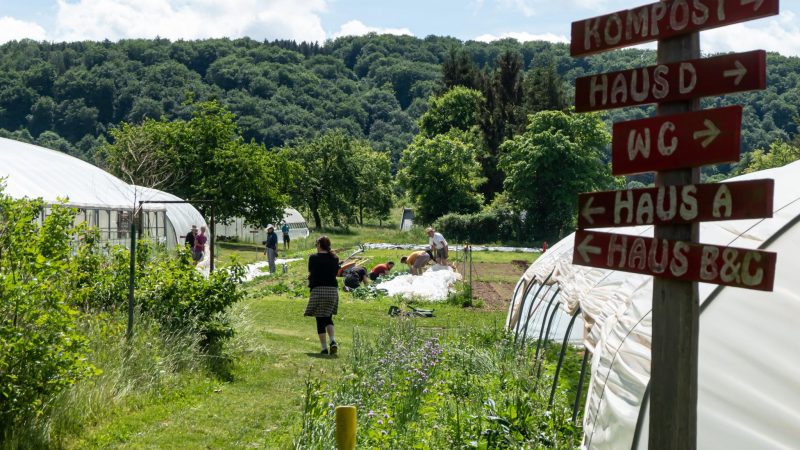 Solawi Vollversammlung und Ernteteilvergabe 2026