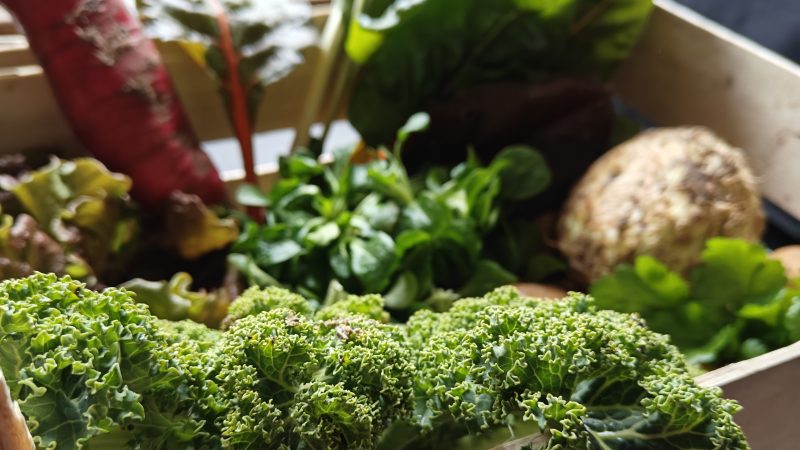 Update: alle Ernteteile sind vergeben!