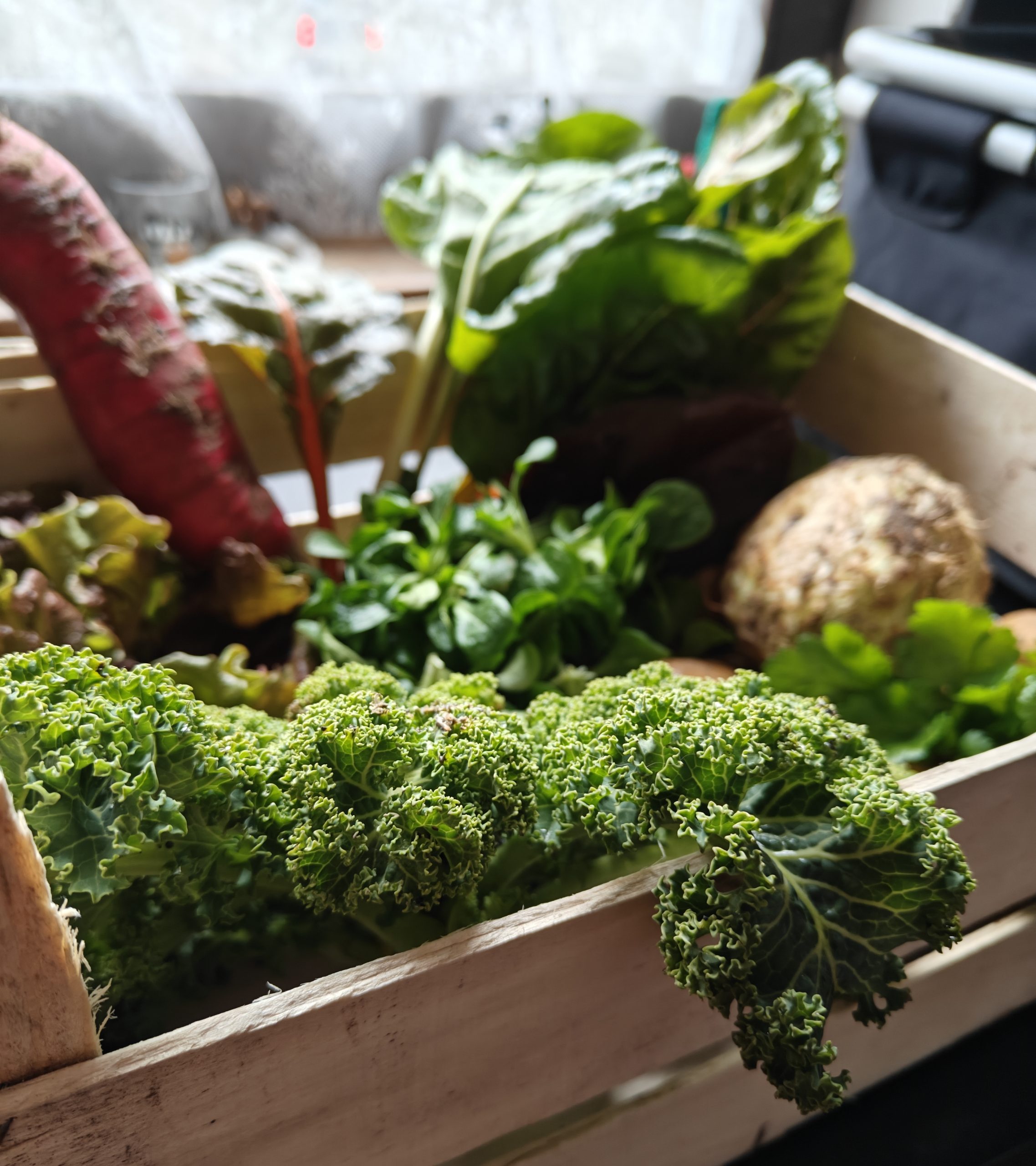 Update: alle Ernteteile sind vergeben!