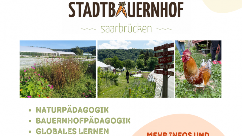 Honorarkräfte gesucht – werde Bildungsreferent*in für den Stadtbauernhof