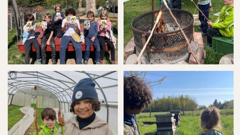 Das waren die Osterferien auf dem Stadtbauernhof 2026🐣🌿